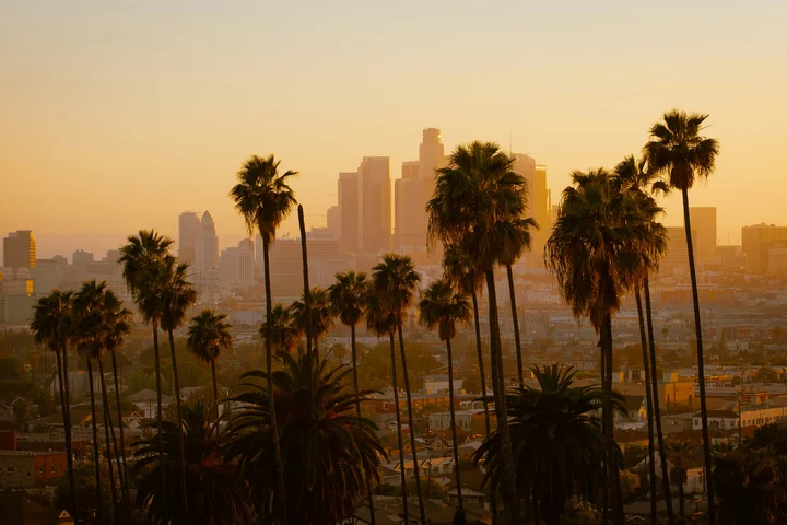 Palm trees with Los Angeles skyline in the backdrop.